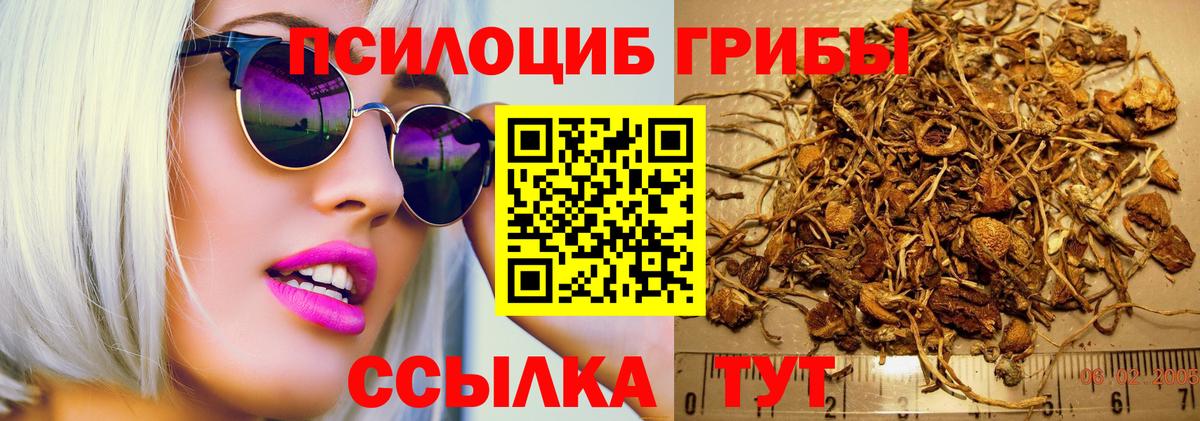 Галлюциногенные грибы MAGIC MUSHROOMS Дагестанские Огни